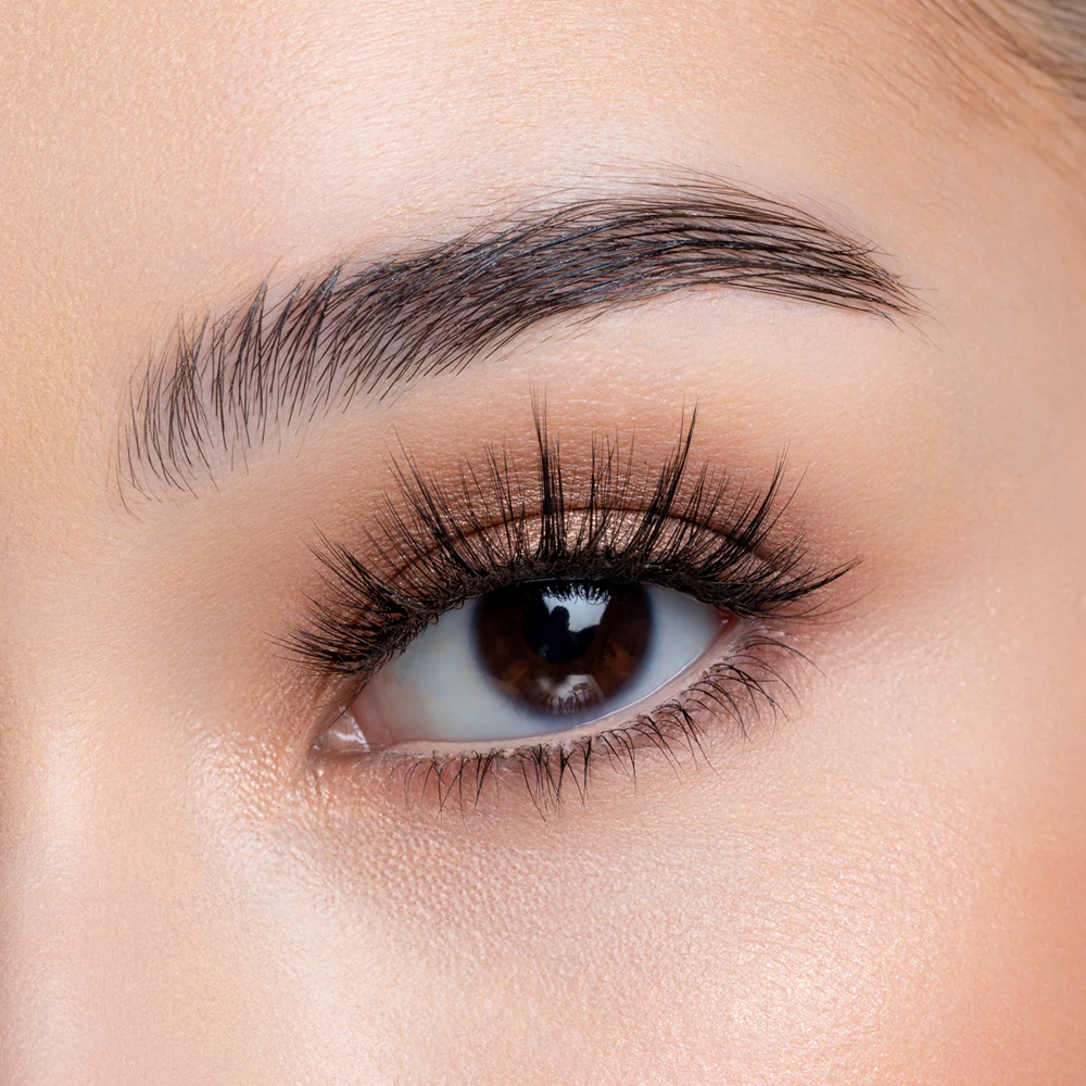 Eyebrow Aesthetics